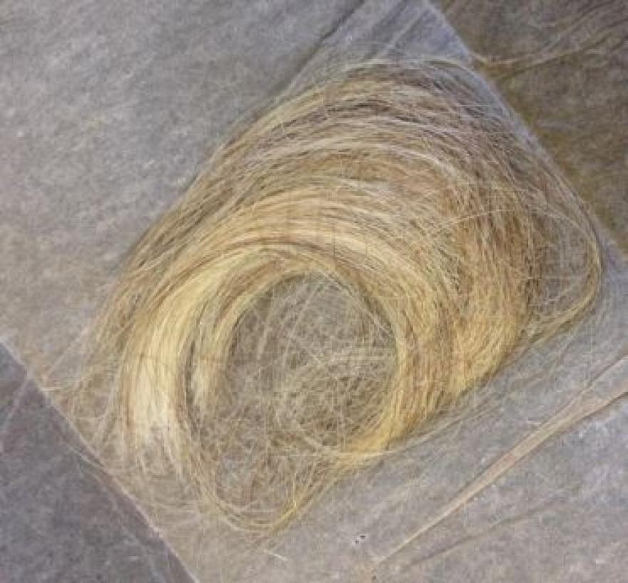 Cut silver strands of hair 